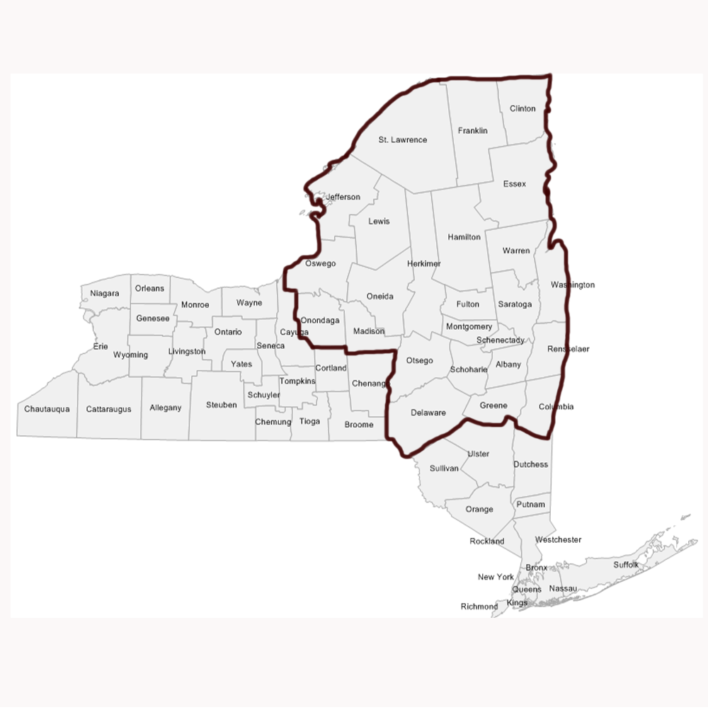 NY Upstate County Map English US 